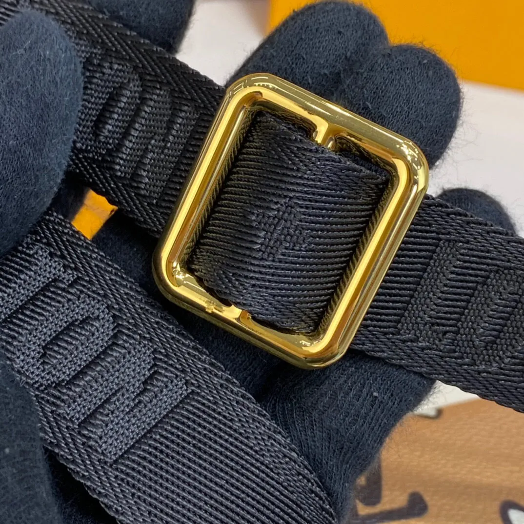 Louis Vuitton Felicie Strap and go Bag